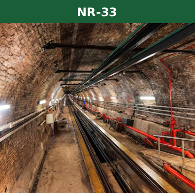 NR 33